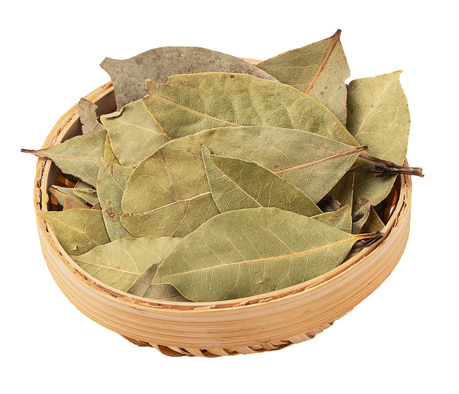 Bay Leaf